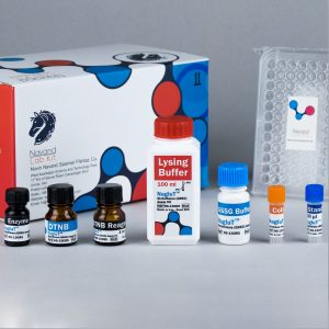Oxidized glutathione assay kit (GSSG) - Image 5