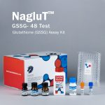Oxidized glutathione assay kit (GSSG) - Image 4