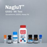 Oxidized glutathione assay kit (GSSG) - Image 3